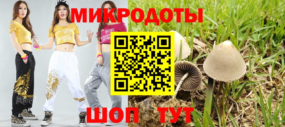 Галлюциногенные грибы Cubensis  Вход с VPN  Щёлково 
