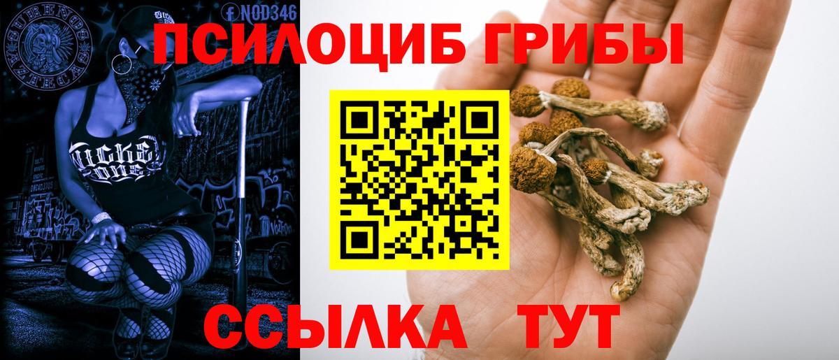 Псилоцибиновые грибы Cubensis Щёлково